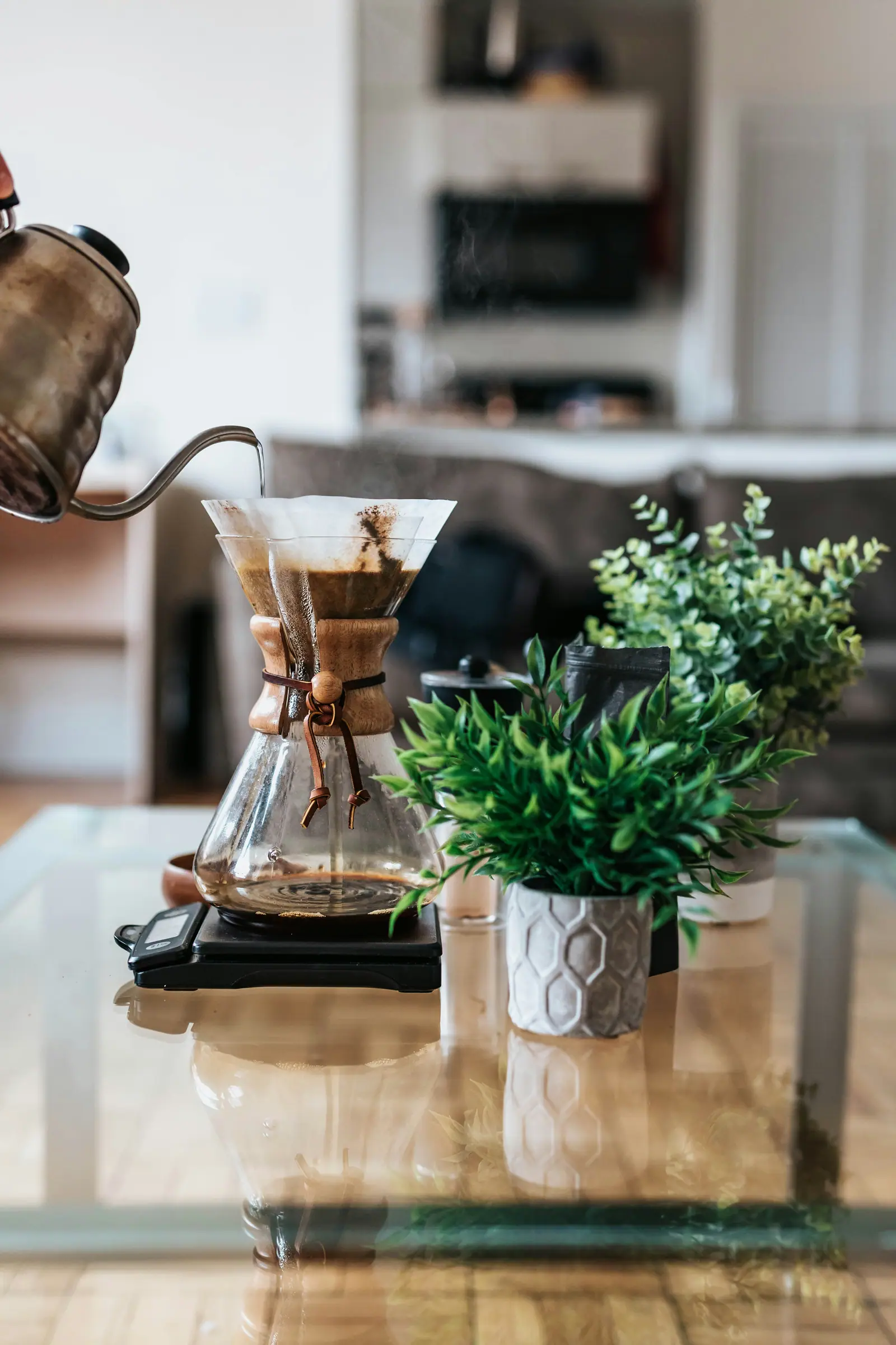 Coffee brewing through a glass pour-over beside small green plants